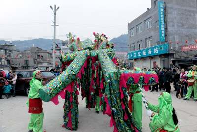 《光》龙湾黄石拼字龙