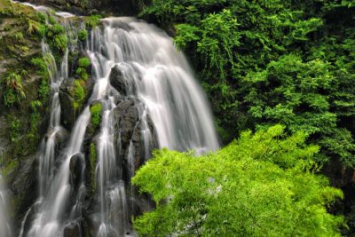 《泽雅竹乡》