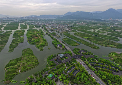 组照5《东南西北看湿地》