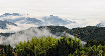 《瓯海泽雅黄山》组照6