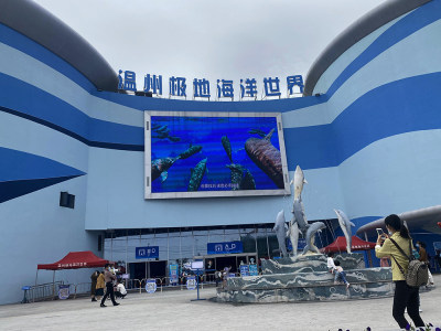 温州极地海洋世界组照6幅6