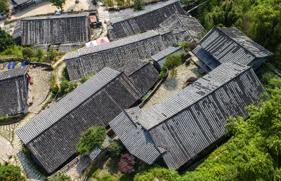 环保绿色景区苍南棕榈湾