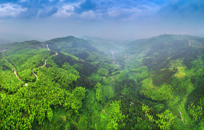 塘河源头绿色泉东川村风采组图8