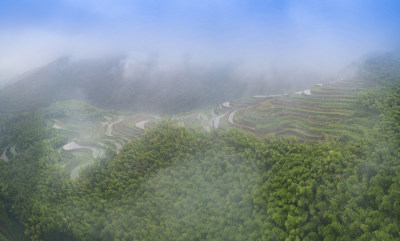 绿色塘河源头泉东川梯田风采组图4