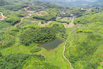 塘河源头绿色泉东川村风采5