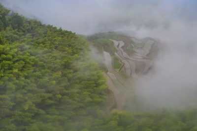 塘河源头绿色泉东川村风采6