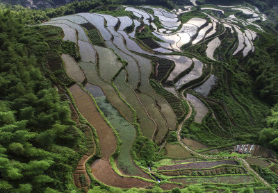 船舫岭梯田组图4