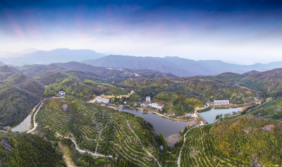 云岭九龙山茶场风采组图6