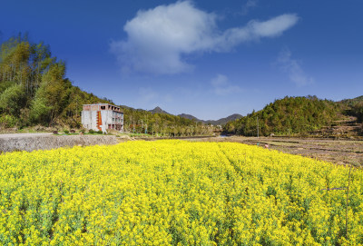 云岭春意浓组图1