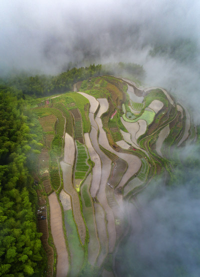 瞿溪船坊岭梯田风采3