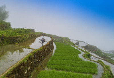 瞿溪船坊岭梯田风采2