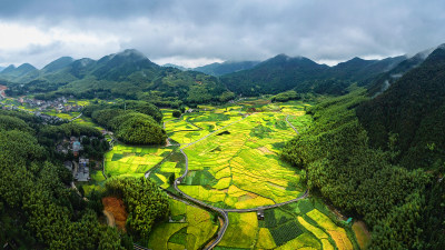 金色北林垟田园美景组图2