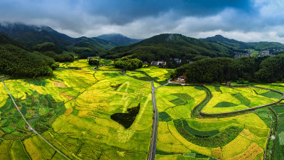 金色北林垟田园美景组图4