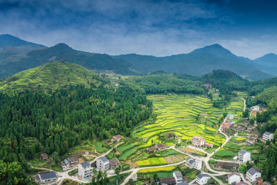 金色屿山村风采组图2