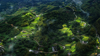 新农村致富路风采组图2