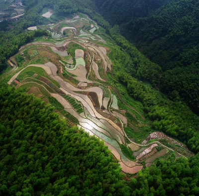 船坊岭梯田风采组图5