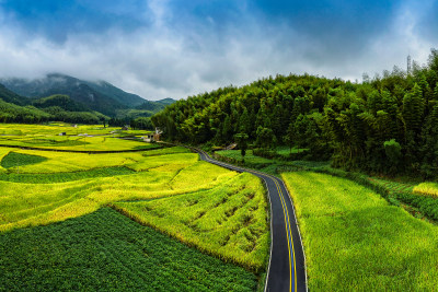 北林垟新田园美景组图6