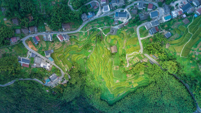 金色屿山村风采组图1