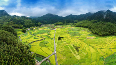金色北林垟田园美景组图3