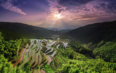 瞿溪船坊岭梯田风采1