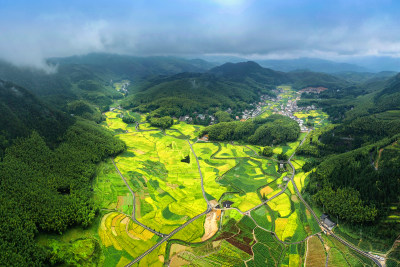 泽雅北林垟田园风采5