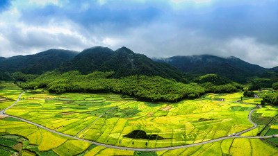 泽雅北林垟田园风采1