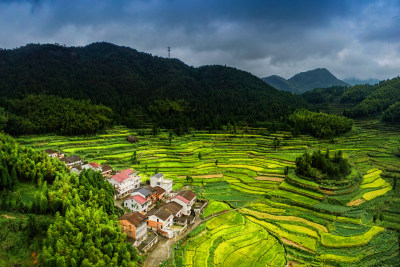 泽雅庙后村梯田美景组图2