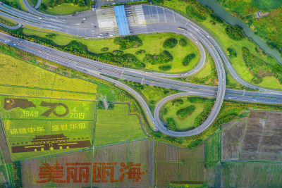 美丽瓯海宽畅交通组图2