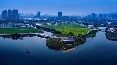 三垟湿地油菜花盛开时节美景9