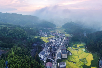 金色五凤垟村美景组图4