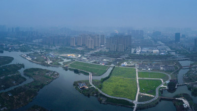 三垟湿地油菜花盛开时节美景6