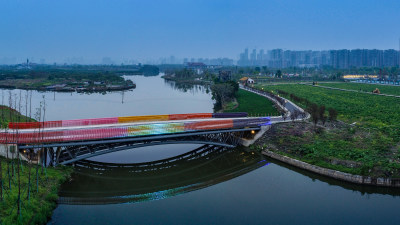 三垟湿地油菜花盛开时节美景4