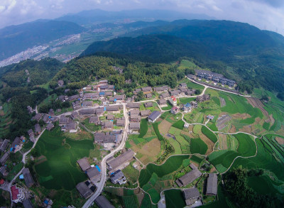《曹平绿色田园风采》组图2