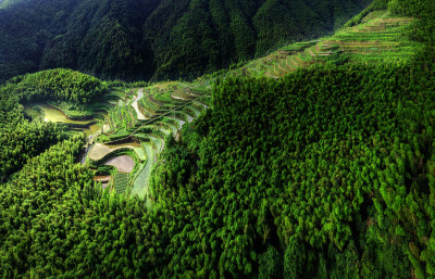 船舫岭梯田风采组图6