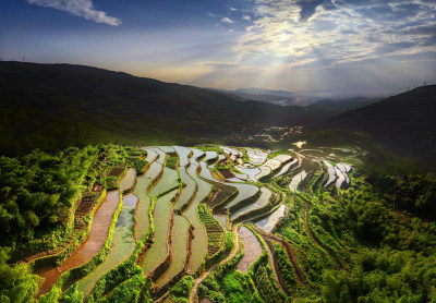 船舫岭梯田风采组图2