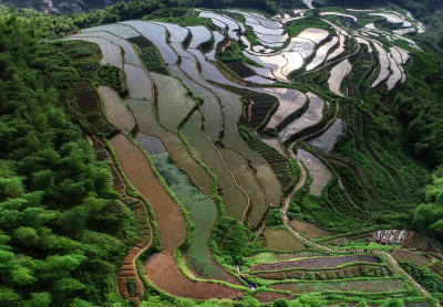 船舫岭梯田风采组图4