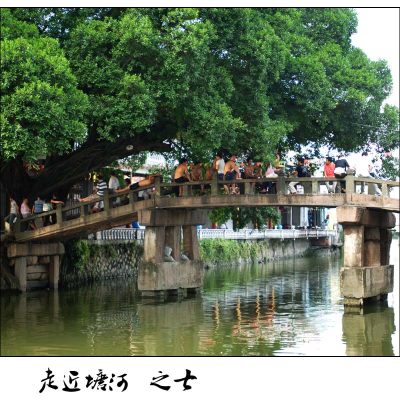 相依相伴的榕树、石板桥是塘河两岸特有的文化符号，已经渐渐远去……