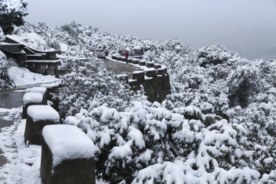 罗山雪韵