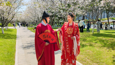 “牵手樱花下　爱聚海经区”