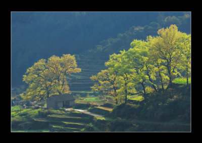 古道四季组照