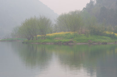 绿洲