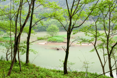绿染飞云江