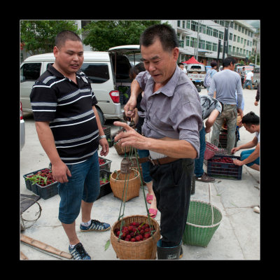 杨梅上市组照