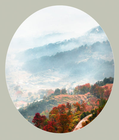 《雾漫红枫岭》