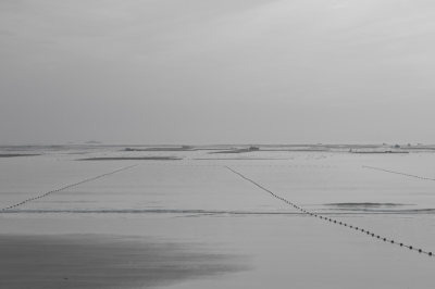 那片海