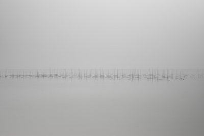 那片海