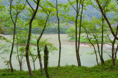 绿染飞云江
