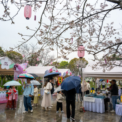 樱花雨中逛集市07