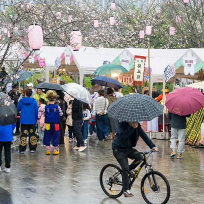 樱花雨中逛集市04