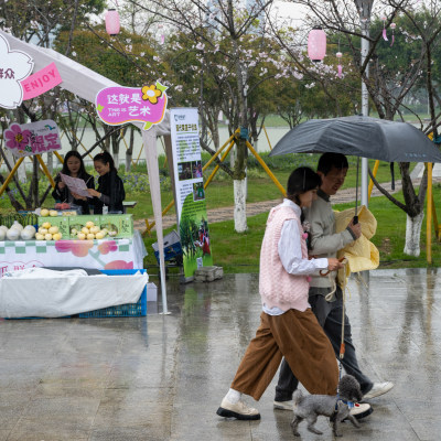 樱花雨中逛集市06